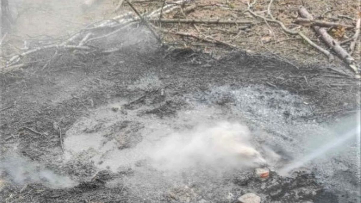 Leśnicy i strażacy apelują 