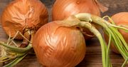 Taka cebula jest toksyczna, a wielu ma wątpliwości. Pod żadnym pozorem jej nie jedz