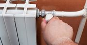 Mózg lubi taką temperaturę. Badacze wskazują konkretną wartość