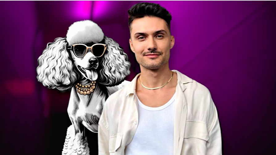 Kulisy pracy w show-biznesie 