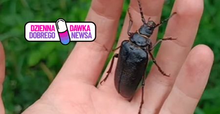 Nagranie niesie się po sieci. "Nawet 4,5 cm długości"
