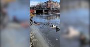 Lód załamał się pod nogami łyżwiarzy. Dramatyczna nagranie z akcji ratunkowej w Amsterdamie