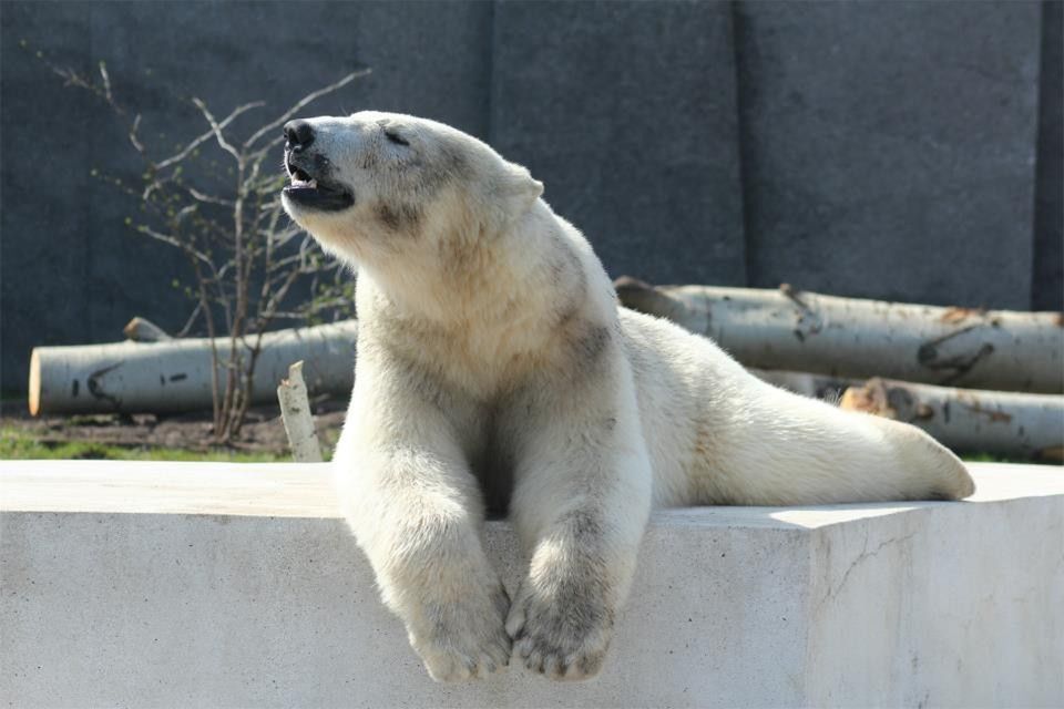 Nowi mieszkańcy warszawskiego ZOO