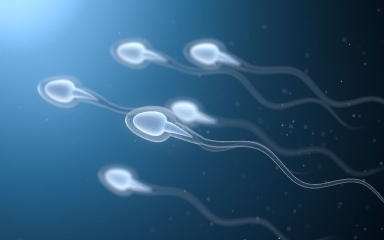 Spermiogram to jakościowe badanie męskiego nasienia.