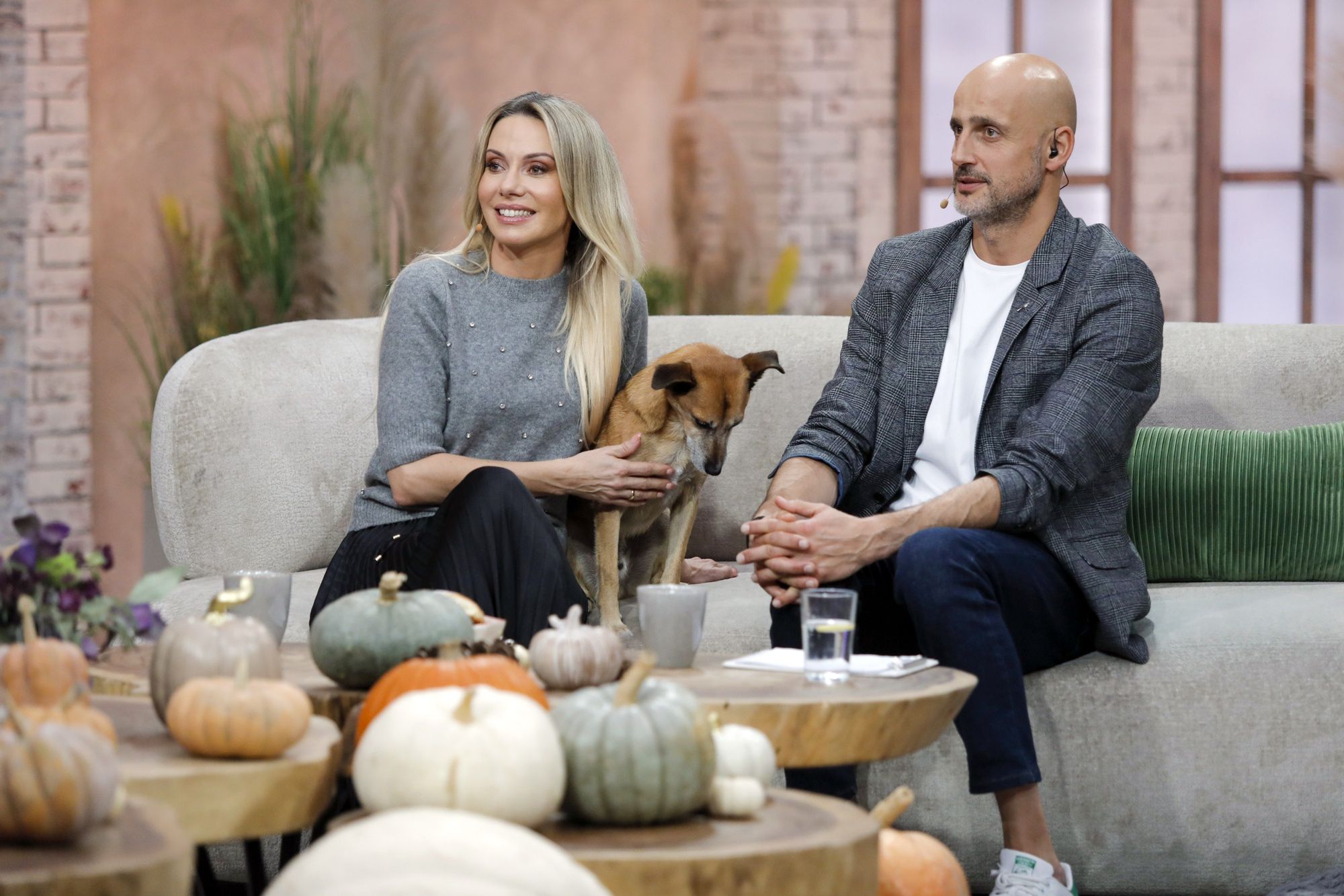 Co dalej z gwiazdami "Pytania na śniadanie"?