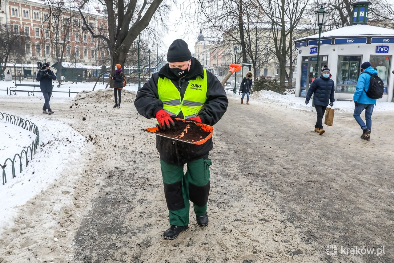 Kawa zamiast soli. Kraków sypie fusami, ale czy to w ogóle legalne?