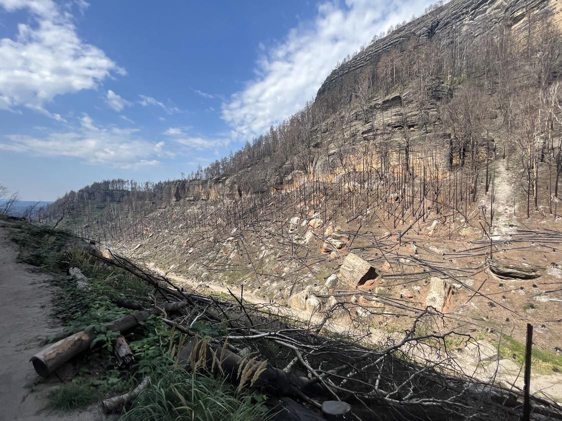 Tereny, na których w 2022 r. szalał pożar