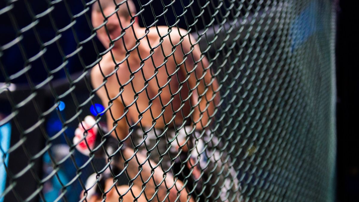 ksw mma walki w klatce