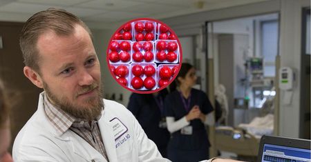 Neurolog mówi, co je dla mózgu. Tania ochrona przed udarem