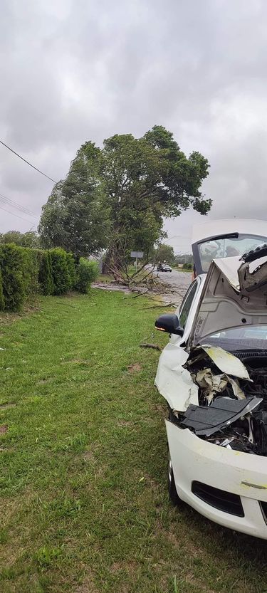 Konar drzewa spadł na auto