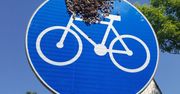 Warszawa. Pszczoły na rowerze. Rój dojechał do pasieki