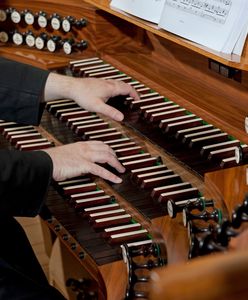 Ile zarabia organista? Niektórzy dostają ponad 300 zł dziennie