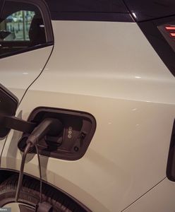 "Doskonała adaptacja". Polska światowym potentatem w produkcji baterii do "elektryków"