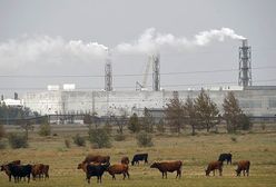 Rosjanie szykują prowokację na Krymie. "Śmiertelne zagrożenie"