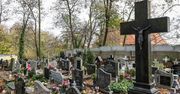 Mieszkańcy walczą z drożyną na cmentarzu. Papież im nie pomoże