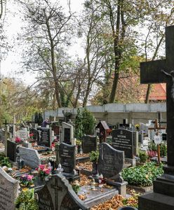 Mieszkańcy walczą z drożyną na cmentarzu. Papież im nie pomoże