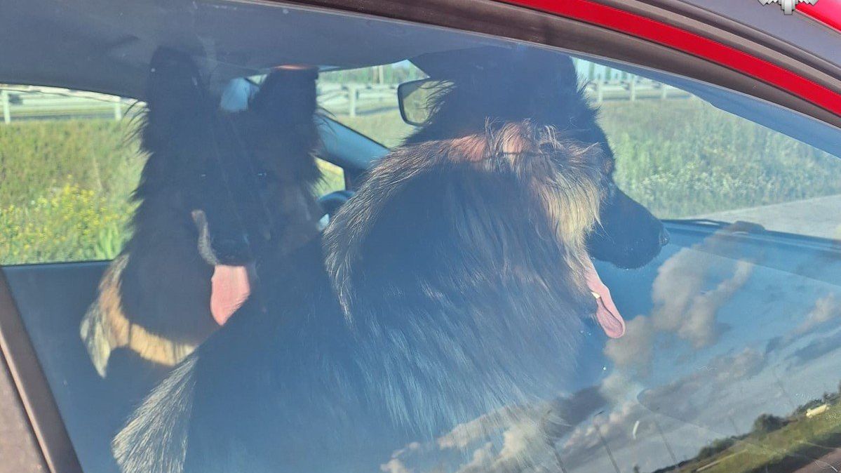 Zdjęcie ilustracyjne