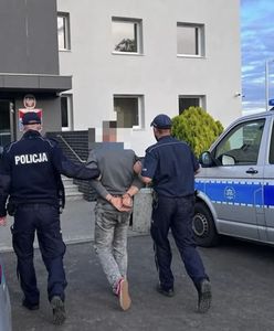 Zagłodzone na śmierć. Porzucone stado byków znaleziono na farmie w Wielkopolsce