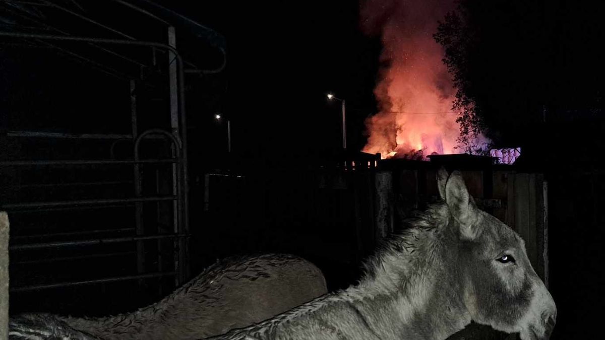 Zwierzęta patrzyły, jak płonie jedzenie dla nich - 600 balotów siana i słomy