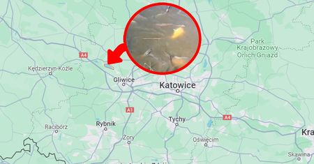 Nikt nie jest gotowy na ten widok. Pokazał, co się dzieje na Śląsku