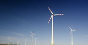 Rok od wybuchu wojny. OZE ratują europejską energetykę