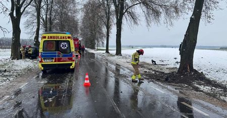 20-latka ranna po zderzeniu Citroena z drzewem