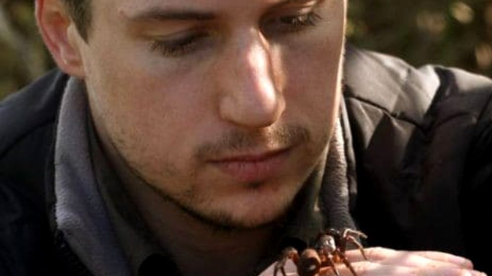 Nowy gatunek pająka