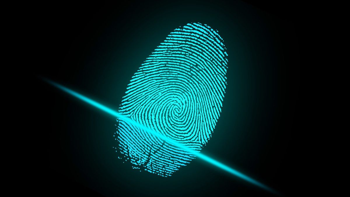 Xiaomi szykuje tanie smartfony z czytnikiem linii papilarnych w ekranie 1