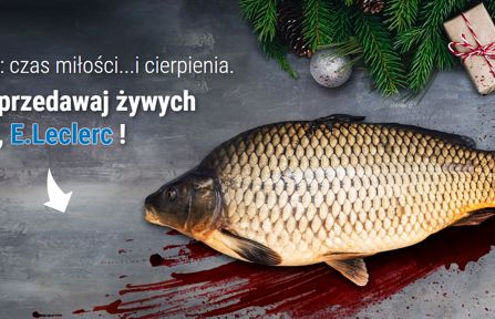 Organizacje prozwierzęce walczą o zaprzestanie sprzedaży żywego karpia w sieci E.Leclerc