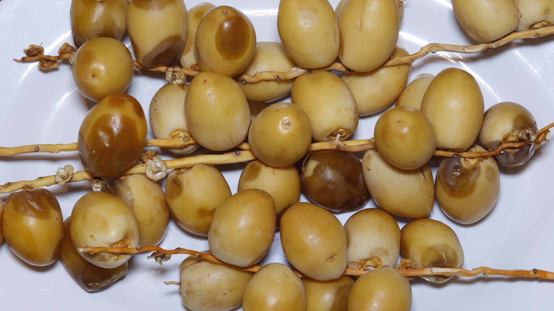 Naturalna miotła dla jelit. Zjedz trzy po wielkanocnej uczcie, a organizm ci podziękuje