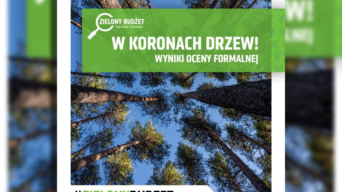 grafika Zielony Budżet W koronach drzew – już po ocenie formalnej