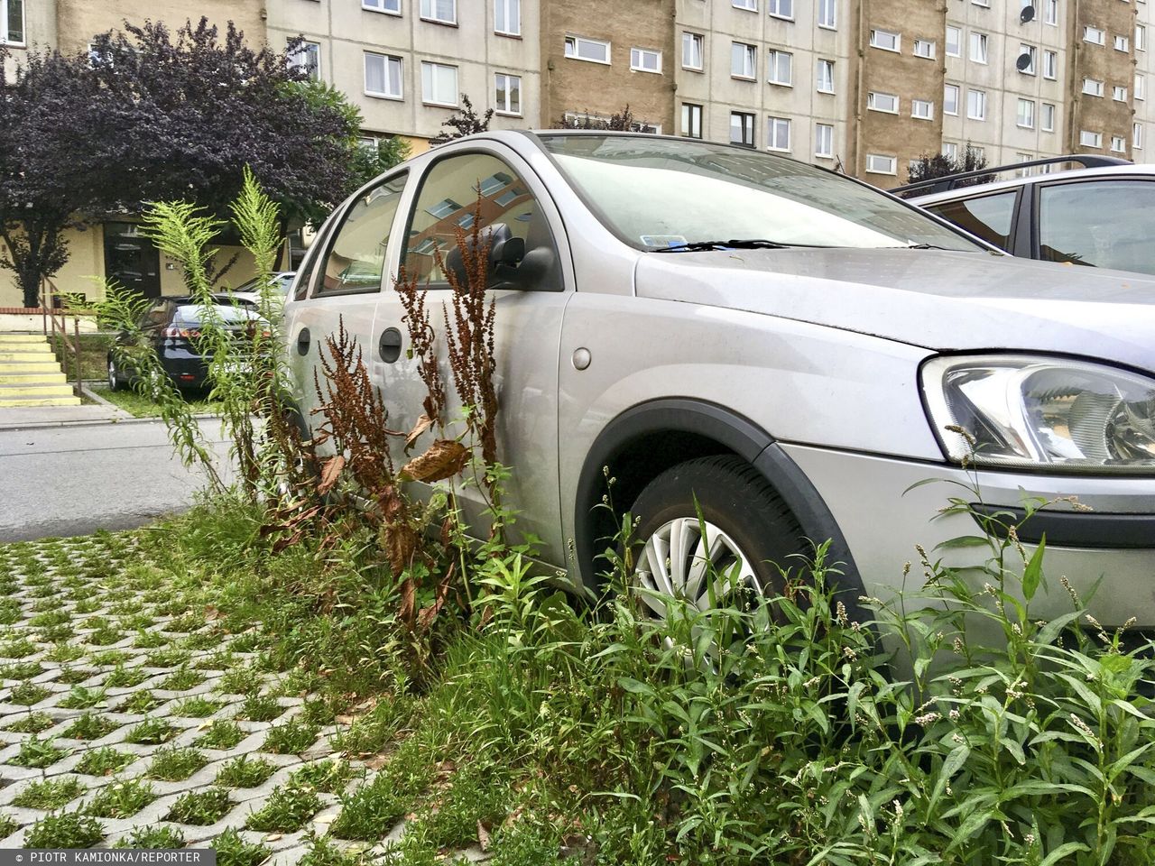 Miasto walczy z zalegającym problemem
