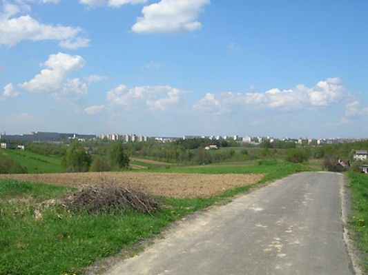 Obraz