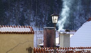 Ceny energii uderzają Niemców po kieszeni. Berlin szuka rozwiązania