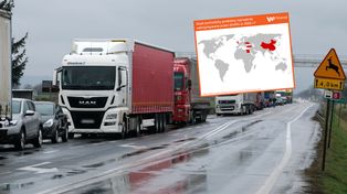 Pleśń i żywe szkodniki. To znaleźli w żywności wiezionej do Polski