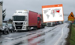 Pleśń i żywe szkodniki. To znaleźli w żywności wiezionej do Polski