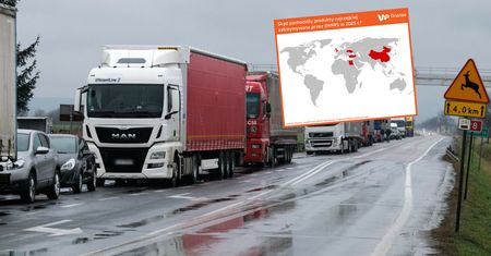 Pleśń i żywe szkodniki. To znaleźli w żywności wiezionej do Polski