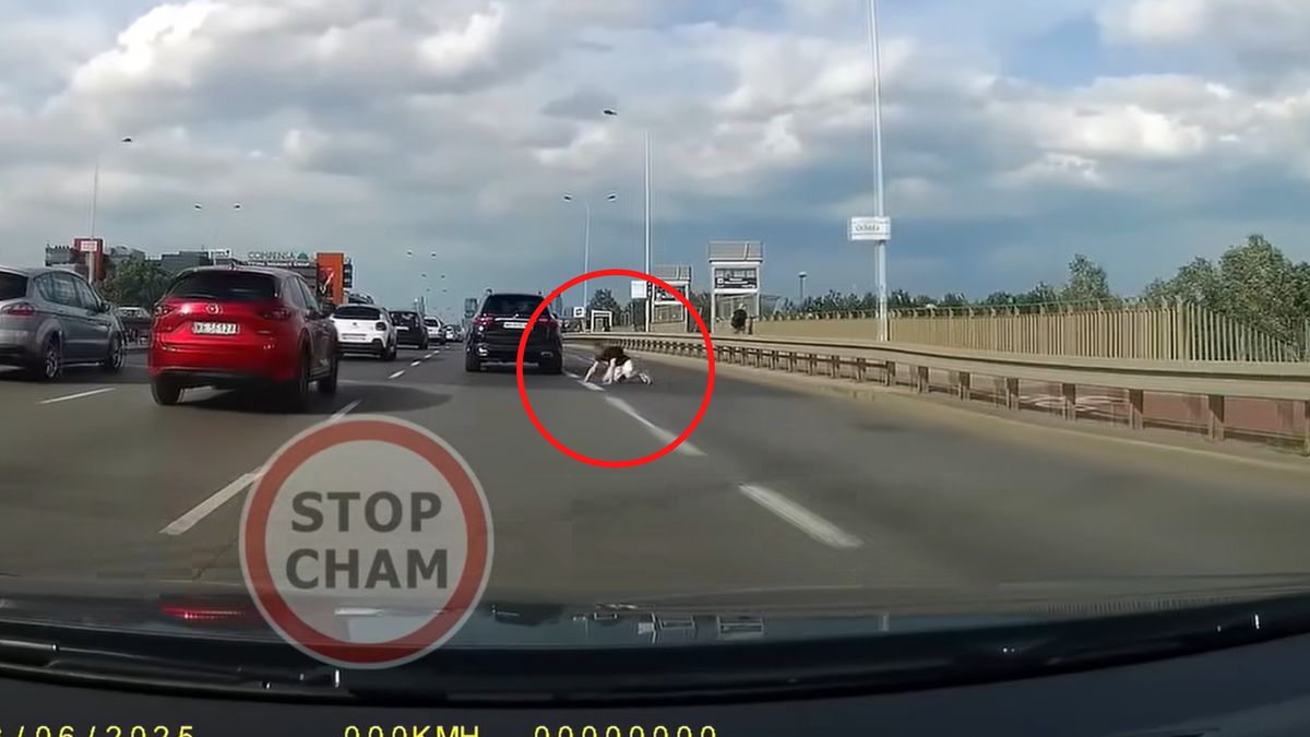 Przewrócił się na drodze.