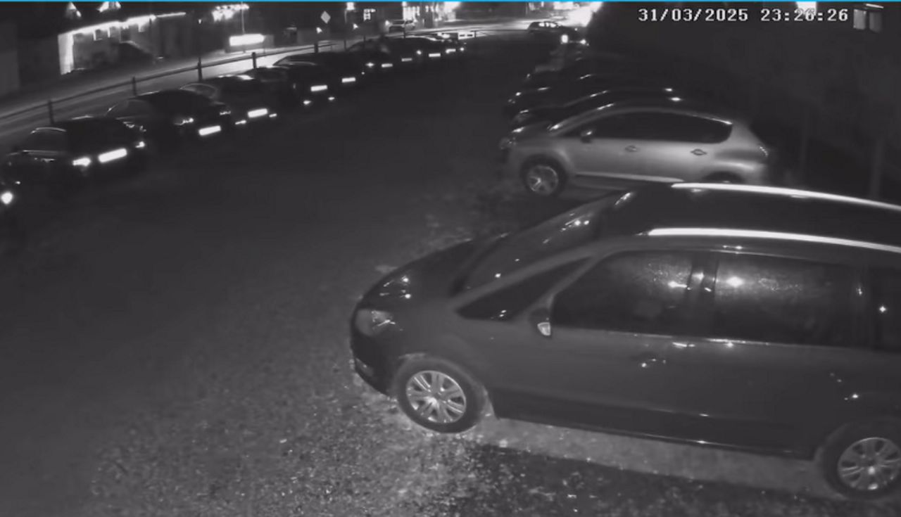 Strzały na Podhalu. Właściciele komisu apelują o pomoc