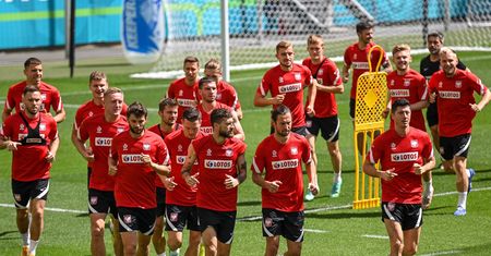 Euro 2020. Słoń Leon wytypował zwycięzcę meczu Polska-Szwecja
