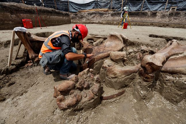 Archeolodzy trafili na szczątki na budowie nowego lotniska.
