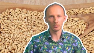 Znany dietetyk ubolewa. Polacy jedzą go zbyt mało, a ma zbawienny wpływ na jelita i hamuje cukrzycę