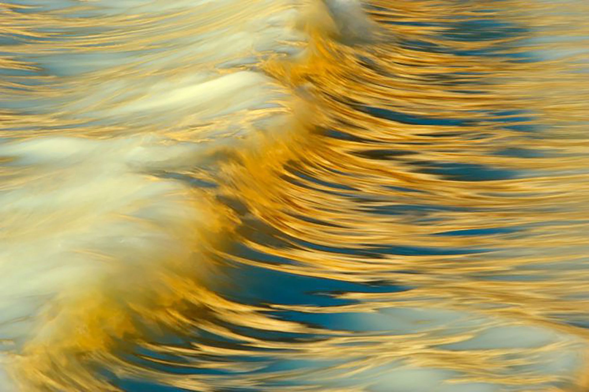 Najpiękniejsze zdjęcia przyrody w konkursie GDT Nature Photographer of the Year 21