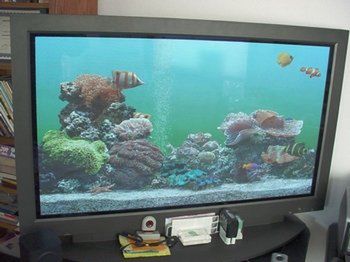 Poradnik – plazma czy LCD? 4