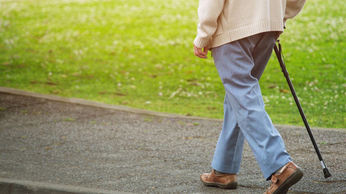 emeryt; senior; emeryci; emerytura; seniorzy; waloryzacja rent i emerytur;