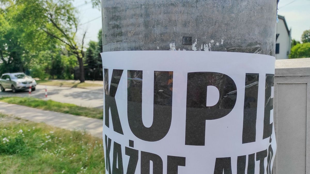 reporter_baza_2022-0723.07.2022 Lodz. Ogloszenie na slupie: Kupie kazde auto. Fot. Piotr Kamionka/REPORTERPiotr Kamionka/REPORTER