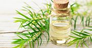 Olejek z drzewa herbacianego - cena i zastosowanie