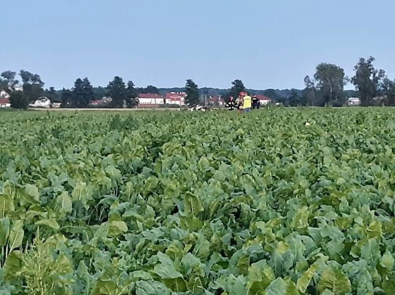 Wrocław. Zbadali katastrofę lotniczą pod Strzegomiem: ”pilot bez uprawnień, śmigłowiec przerobiony”