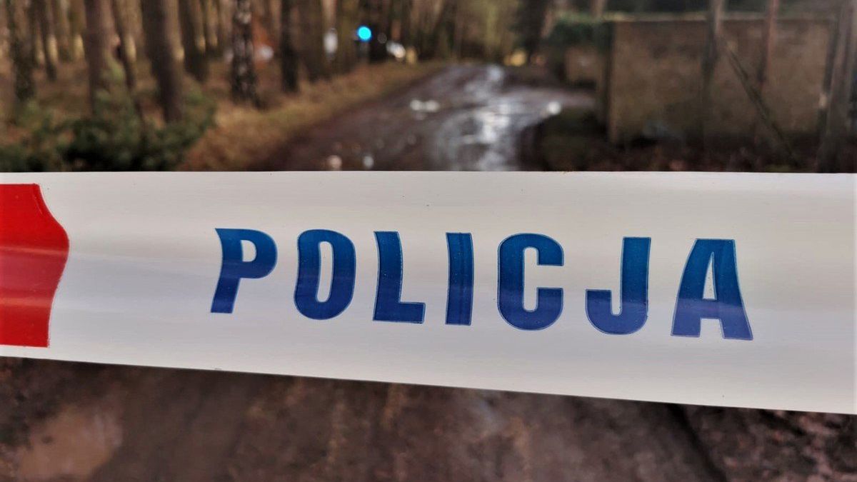 Policja interweniowała w lesie