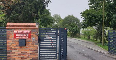 Zarzuty dla lekarki i pielęgniarek z DPS w Zielonej Górze. W ranach zalęgły się larwy much